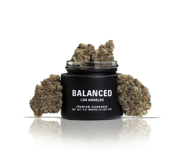 Balanced Los Angeles | Sherbz