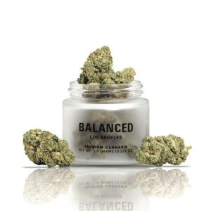 Balanced Los Angeles | Nerdz