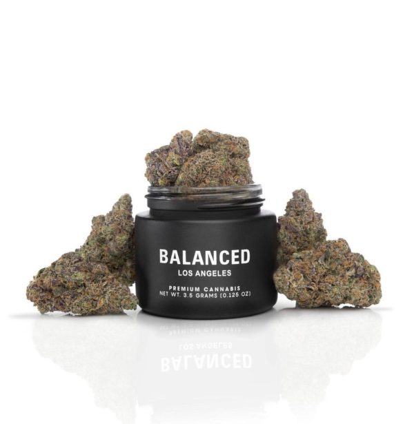 Balanced Los Angeles | Ice Cream #5